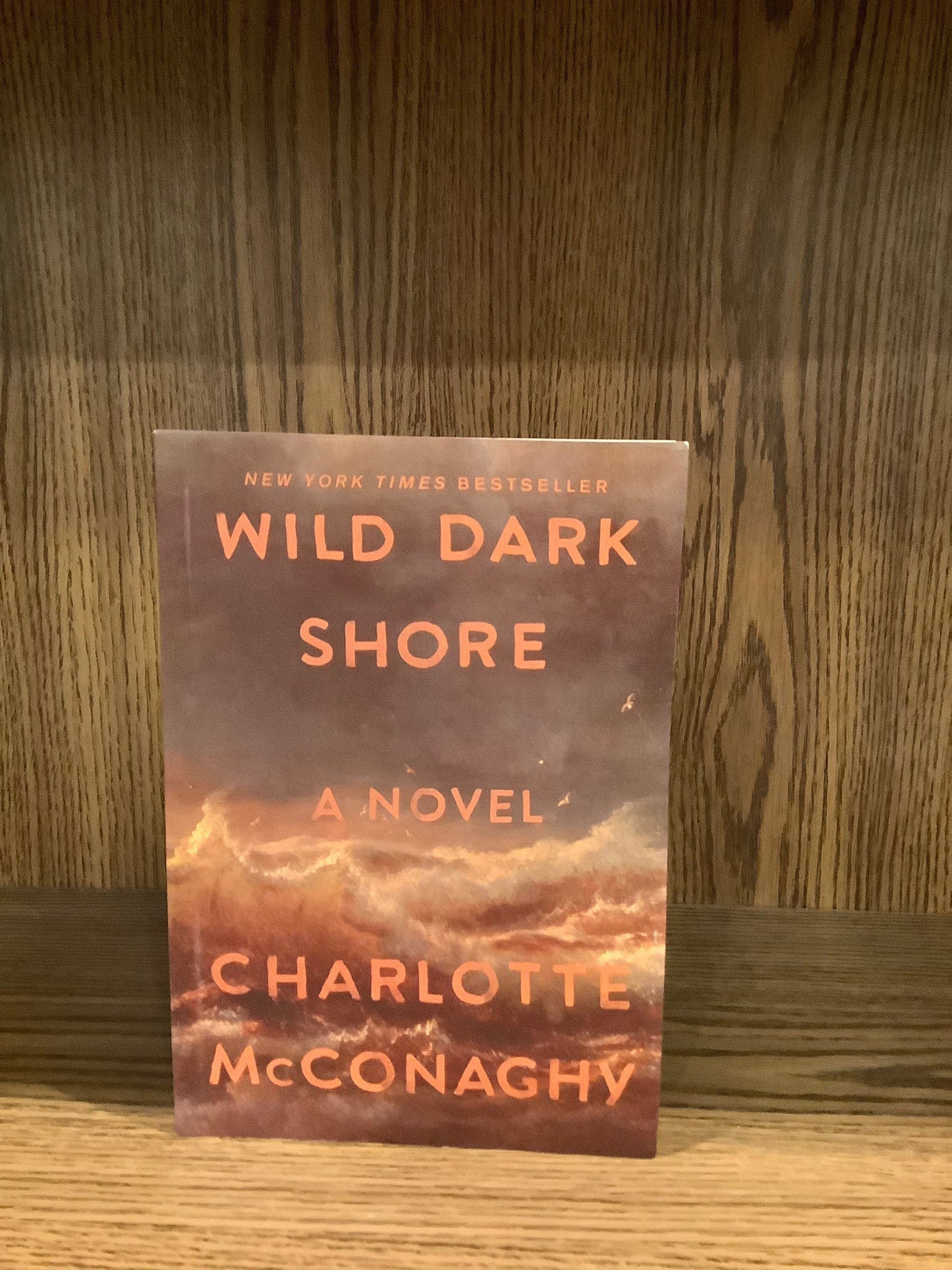 Wild Dark Shore by Charlotte McConaghy