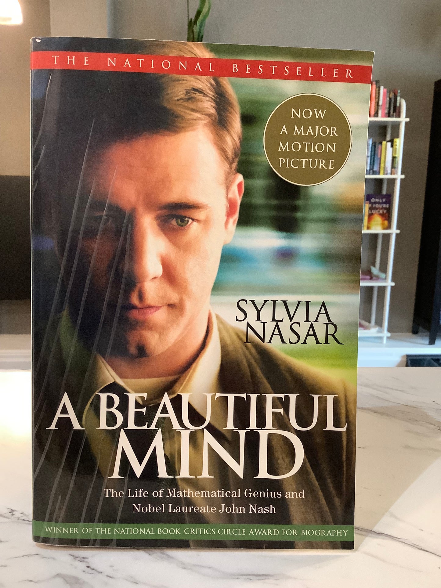 A Beautiful Mind by Sylvia Nasar