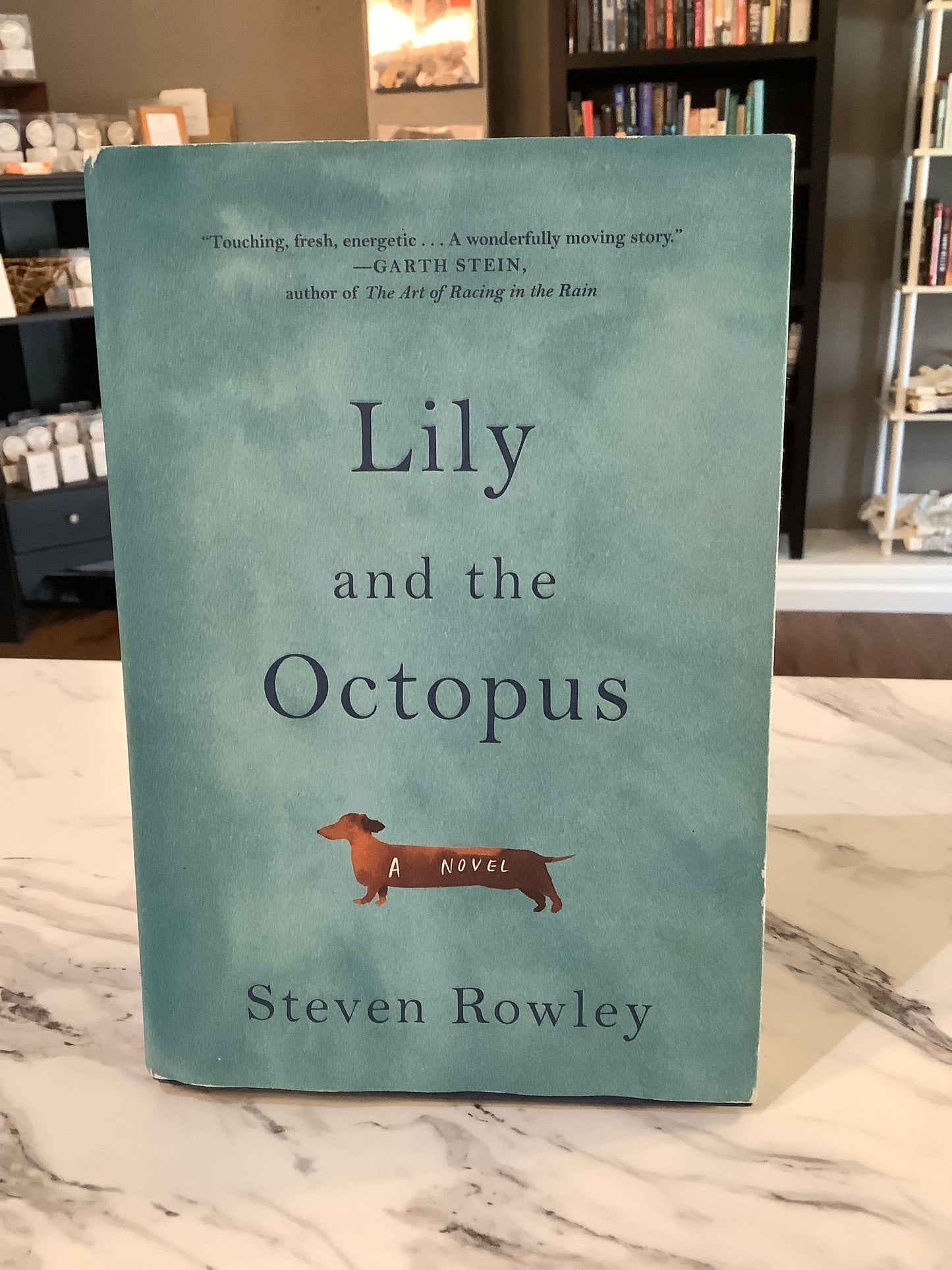 Lily and the Octopus by Steven Rowley